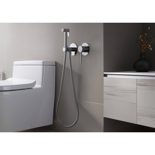 Смеситель с гигиеническим душем AQUATEK Европа AQ1319CR встраиваемый хром